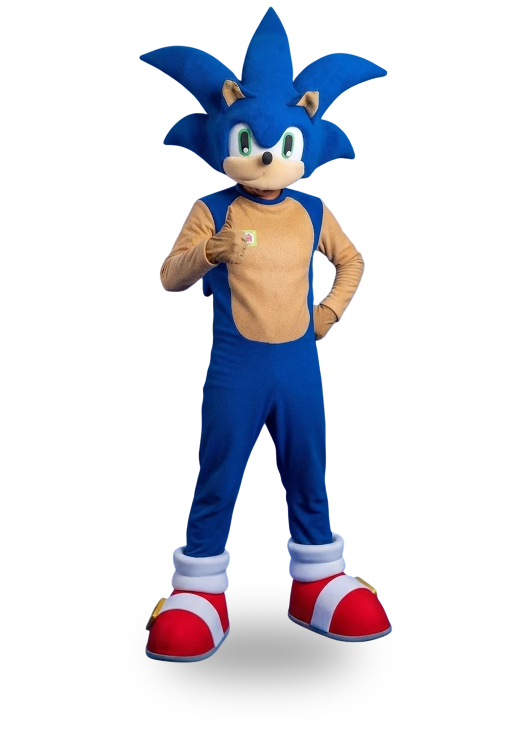 Animator Sonic iasi