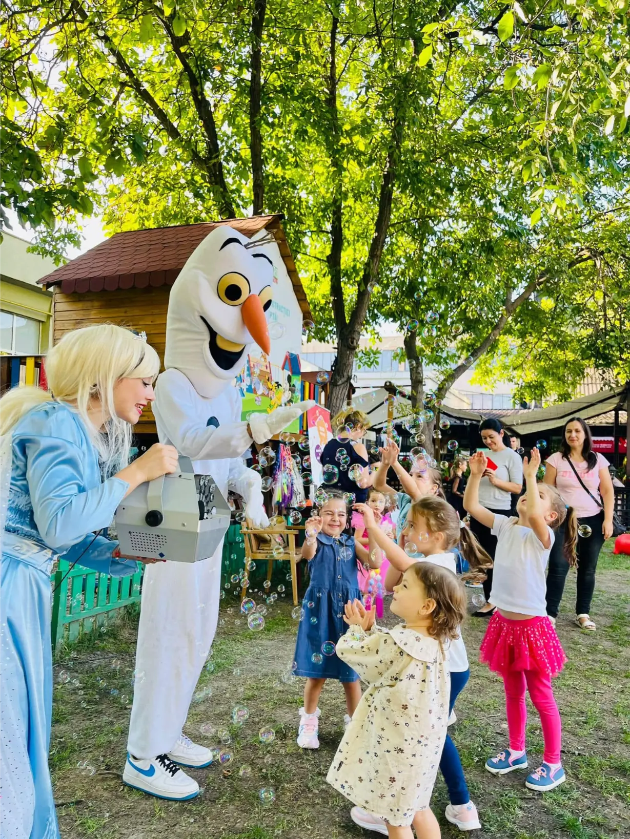 animator elsa zi de nastere iasi