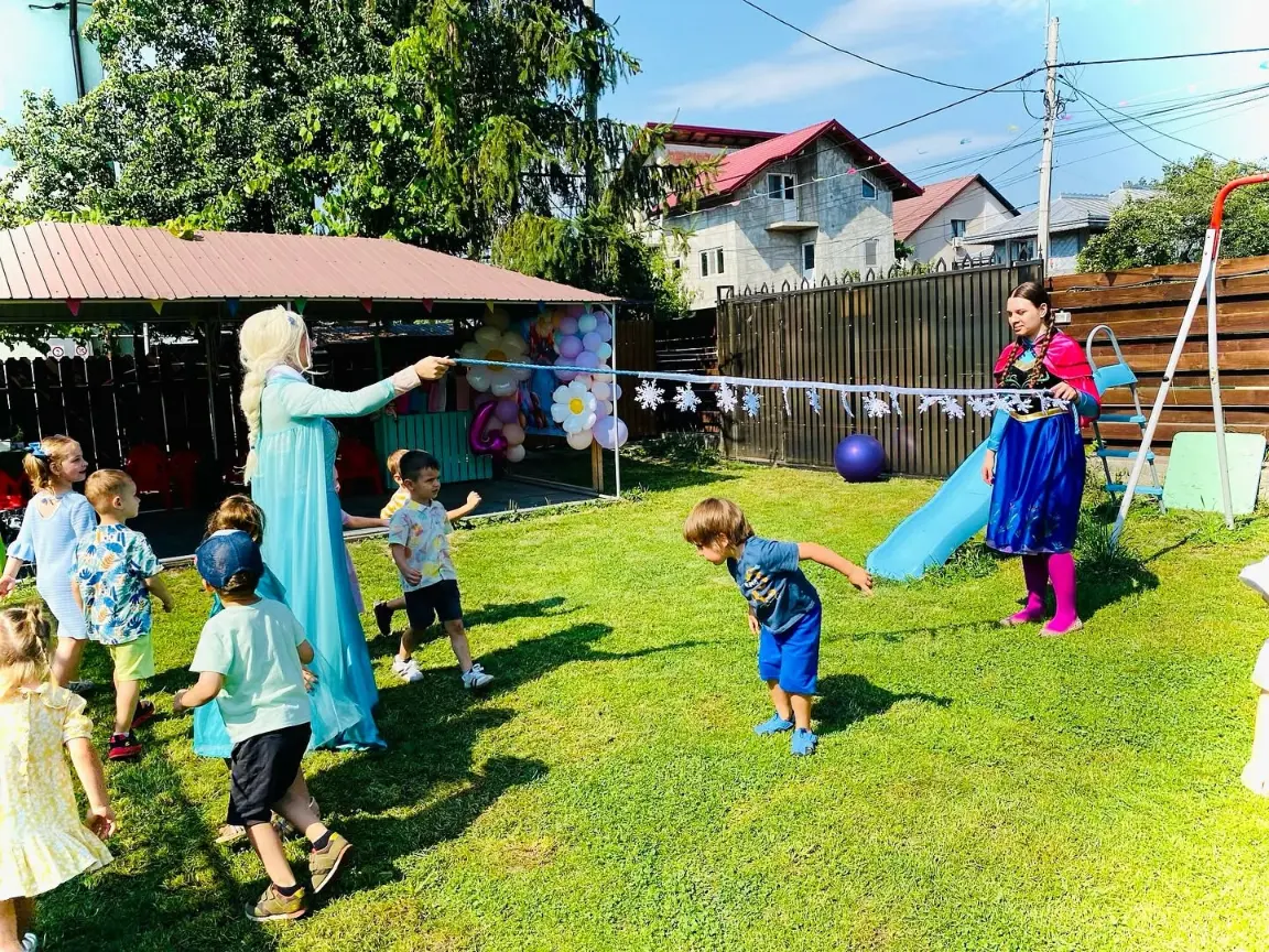 comanda animator elsa frozen iasi