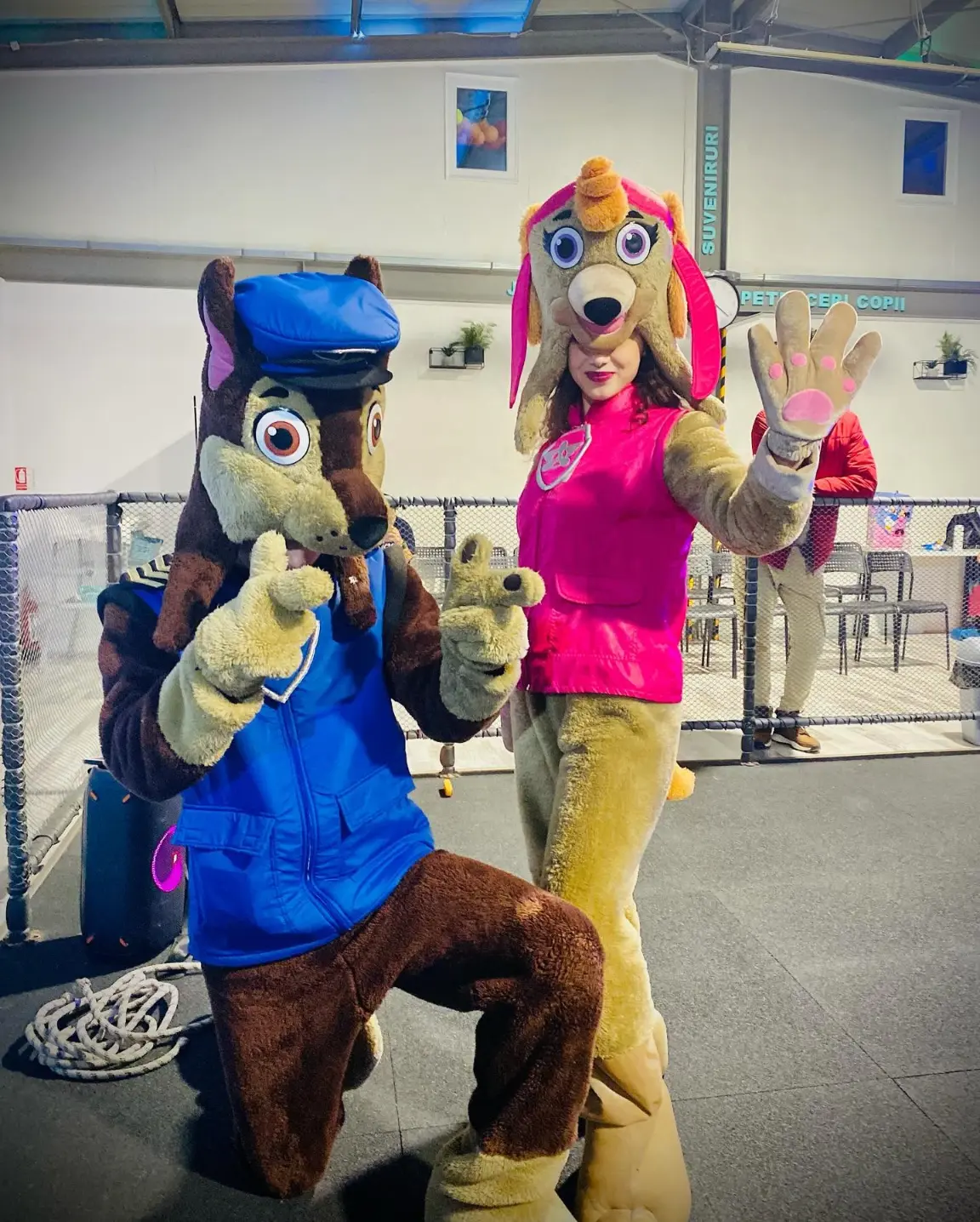 animator chase paw patrol iasi