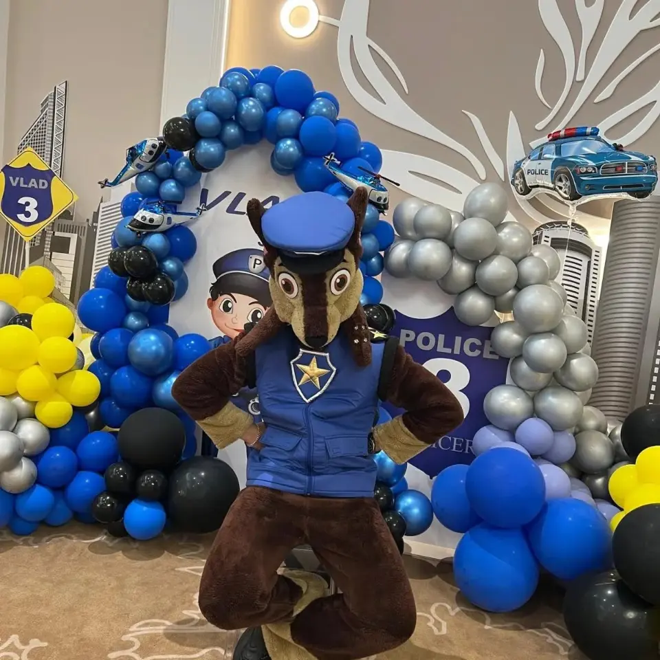 animator skye paw patrol iasi